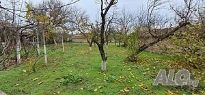 Парцел, гр. Плиска Продажа 1022 кв.м Под застройку (УПИ) С электричеством Водопровод | Участки под застройку, Инвестиционные проекты | Плиска