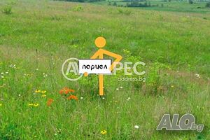 Парцел/Терен, Девин, 2000 кв.м., 110000 € Продажа 2000 кв.м Под застройку (УПИ) Без электричества Без воды | Участки под застройку, Инвестиционные проекты | Девин