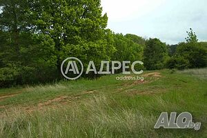 Парцел/Терен, Войнеговци, 8930 кв.м., 705470 € Продажа 8930 кв.м Не находится в планировке С электричеством Без воды | Участки под застройку, Инвестиционные проекты | Войнеговци