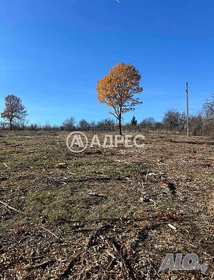 Продава парцел в с. Момин сбор 639978 Продажа 2000 кв.м Под застройку (УПИ) Без электричества Без воды | Участки под застройку, Инвестиционные проекты | Момин сбор