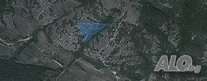 Земеделски земи в село Лесичово Земли сельхозназначения 72501 кв.м 6 категории | Сельскохозяйственная земля, Сады, Виноградники | Лесичово