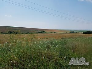 plot of land for sale in Miladinovtsi Продажа 2000 кв.м Под застройку (УПИ) Без электричества Водопровод | Участки под застройку, Инвестиционные проекты | dimiter blagoev Миладиновци