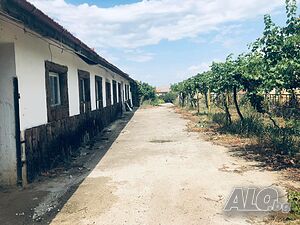 Складово логистичен имот за продажба - парцел 5 дка и склад 1 дка Склад 5251 кв.м | Склады, промышленная и сельскохозяйственная недвижимость  | Козарско