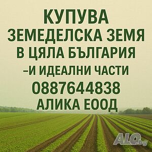 Купувам земеделска земя в област Ловеч-и идеални части | Покупает | Ловеч