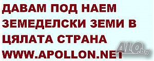 земеделска земя 4501 кв.м земеделска земя 4501 кв.м | Участки | Джигурово