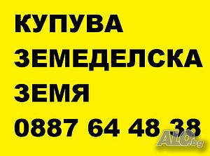 Купува земеделска земя в община Първомай | Покупает | Първомай