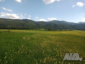 Земя в планински район - село Говедарци Земли сельхозназначения 1000 кв.м 1 категории | Сельскохозяйственная земля, Сады, Виноградники | Говедарци Говедарци