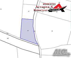 Астарта-Х Консулт продава орехова гора в село Узунджово Земли сельхозназначения 2600 кв.м 6 категории | Сельскохозяйственная земля, Сады, Виноградники | Узунджово