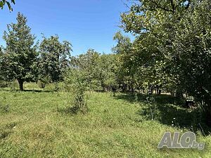 Продавам обзаведена къща близо до гр. Габрово Одноэтажный 85 кв.м РЗП 1400 кв.м двор | Дома/Дачи | Стоевци