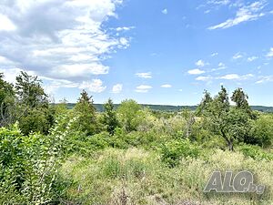 Парцел за продажба с. Балван Продажа 1160 кв.м Под застройку (УПИ) Без электричества Без воды | Участки под застройку, Инвестиционные проекты | Балван