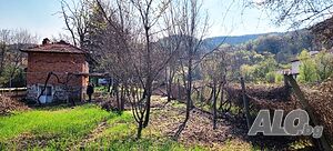 Имот в с. Дебръщица обл. Пазарджик Одноэтажный 36 кв.м РЗП 1003 кв.м двор | Дома/Дачи | Дебръщица