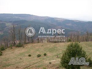 Земеделска земя за продажба в с. Горно Хърсово! Земли сельхозназначения 1000 кв.м 5 категории | Сельскохозяйственная земля, Сады, Виноградники | Горно Хърсово