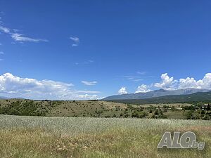 Земеделска земя в село Дъбрава на асфалтов път Земли сельхозназначения 4232 кв.м Не указано | Сельскохозяйственная земля, Сады, Виноградники | Дъбрава