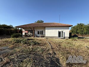 Продавам къща с двор в с. Горна Студена, общ. Свищов, обл. Велико Търново ДИРЕКТНО ОТ СОБСТВЕНИК Одноэтажный 130 кв.м РЗП 2300 кв.м двор | Дома/Дачи | Горна Студена