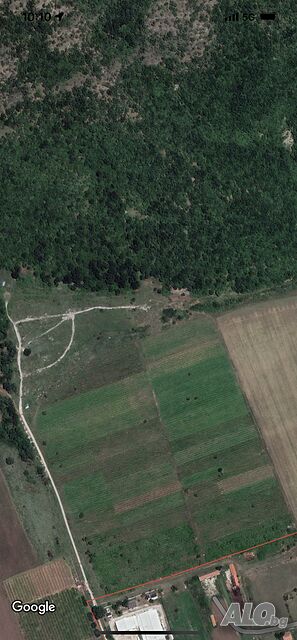 Продавам имот в м. “Баира” в с. Чубра Земли сельхозназначения 3692 кв.м 4 категории | Сельскохозяйственная земля, Сады, Виноградники | м. Баира Чубра