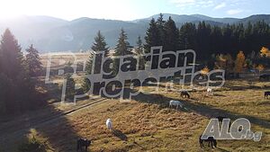 Живописен парцел в село Говедарци Продажа 1841 кв.м Под застройку (УПИ) | Участки под застройку, Инвестиционные проекты | Говедарци