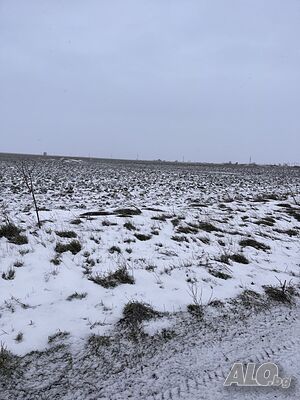 Публична продан от ЧСИ на Земеделска земя в с. Кликач село Кликач, Община Карнобат, ОбластБургас, ме.. Земли сельхозназначения 37758 кв.м | Сельскохозяйственная земля, Сады, Виноградники | Кликач