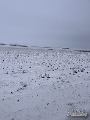 Публична продан от ЧСИ на Земеделска земя в с. Кликач село Кликач, Община Карнобат, Област Бургас, м.. Земли сельхозназначения 1227 кв.м | Сельскохозяйственная земля, Сады, Виноградники | Кликач