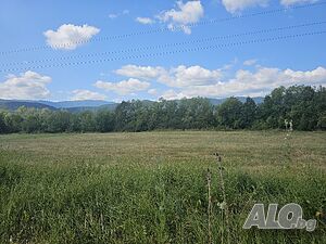 Публична продан от ЧСИ на Земеделска земя в с. Литаково Земли сельхозназначения 937 кв.м | Сельскохозяйственная земля, Сады, Виноградники | Литаково