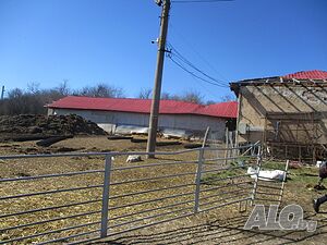 Публична продан от ЧСИ на Производствен имот в с. Кошарна с. Кошарна Промышленное помещение 3018 кв.м | Склады, промышленная и сельскохозяйственная недвижимость  | Кошарна
