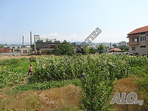 Земеделски имот за продажба на асфалтов път до главен път E-79 Земли сельхозназначения 1631 кв.м Не указано | Сельскохозяйственная земля, Сады, Виноградники | главен път Е79