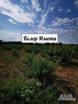 Парцел в село Старо Железаре Продажа 1903 кв.м Не находится в планировке Без электричества Без воды | Участки под застройку, Инвестиционные проекты | Старо Железаре