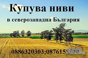 Дейвид ГРУП ЕООД -купува обработваеми земеделски земи в област Враца | Покупает | Борован