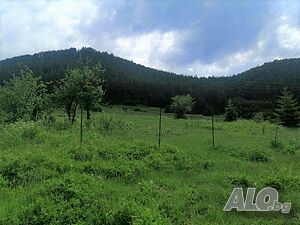 Панорамен парцел с. Равногор Земли сельхозназначения 1212 кв.м 9 категории | Сельскохозяйственная земля, Сады, Виноградники | Равногор