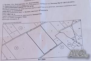 Земеделска земя за продажба в с. Бучино, община Благоевград, местността КРЪШЛАТА. Земли сельхозназначения 8001 кв.м 8 категории | Сельскохозяйственная земля, Сады, Виноградники | Бучино