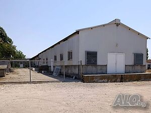Хале под наем Другое 160 кв.м | Склады, промышленная и сельскохозяйственная недвижимость  | Раковски