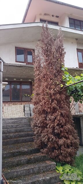 Пpодава се триетажна къща масивно строителство в с. Дунавци - само на 10 км от Казанлък Трехэтажный 380 кв.м РЗП 970 кв.м двор | Дома/Дачи | Дунавци