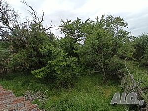 УПИ в с. Хотница Продажа 700 кв.м Под застройку (УПИ) Без электричества Без воды | Участки под застройку, Инвестиционные проекты | Хотница