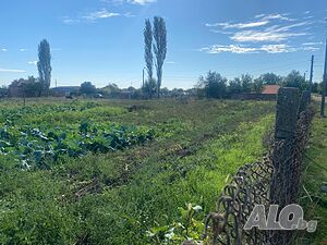 Дворно място в с. Крушаре Продажа 2600 кв.м Под застройку (УПИ) Без электричества Собственный источник воды | Участки под застройку, Инвестиционные проекты | Крушаре