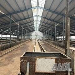 Многофункционален промишлен имот подходящ за производство, складова база или животновъдство | Прочая недвижимость | Пъстрогор