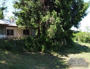Продажба голям парцел със стара къща, с. Писанец, обл. Русе Одноэтажный 60 кв.м РЗП 2150 кв.м двор | Дома/Дачи | Писанец