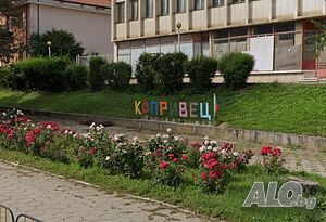 Продажба парцел, с. Копривец, обл. Русе Продажа 700 кв.м Под застройку (УПИ) С электричеством Водопровод | Участки под застройку, Инвестиционные проекты | Копривец