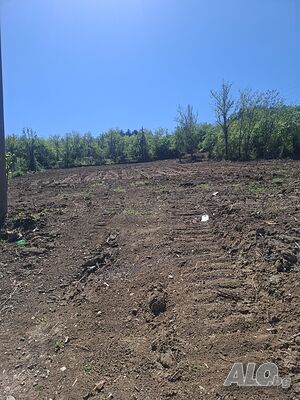 Продавам парцел в местност Бабенец в гр. Горна Оряховица Продажа 2517 кв.м Не находится в планировке С электричеством Без воды | Участки под застройку, Инвестиционные проекты | Горна Оряховица
