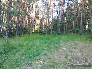 Продавам два парцела във вилна зона Равнища. Продажа 511 кв.м Не находится в планировке С электричеством Водопровод | Участки под застройку, Инвестиционные проекты | Равнища Дедово