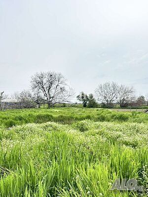 УПИ на 30 минути от Центъра на Пловдив № 14477 Продажа 1091 кв.м Под застройку (УПИ) С электричеством Без воды | Участки под застройку, Инвестиционные проекты | Царимир
