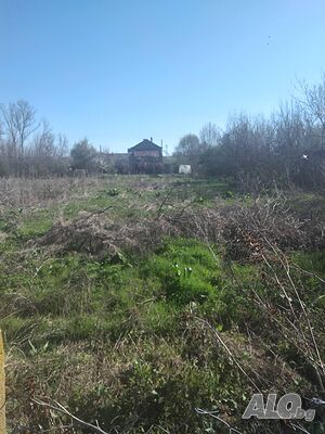 ГРАНД ИМОТИ БГ продава парцел Продажа 2500 кв.м Под застройку (УПИ) С электричеством Без воды | Участки под застройку, Инвестиционные проекты | Обручище
