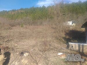 Парцел в регулация Продажа 1350 кв.м Под застройку (УПИ) С электричеством Водопровод | Участки под застройку, Инвестиционные проекты | Присово