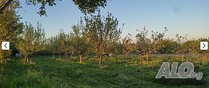 Парцел в регулация Продажа 2032 кв.м Под застройку (УПИ) С электричеством Водопровод | Участки под застройку, Инвестиционные проекты | Мерданя