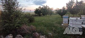 Парцел в село Пленимир общ. Ген. Тошево Продажа 1500 кв.м Под застройку (УПИ) С электричеством Водопровод | Участки под застройку, Инвестиционные проекты | Пленимир