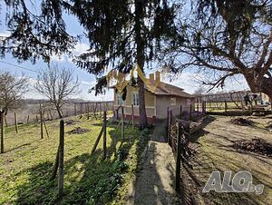 Къща в с. Житен 91 кв.м РЗП 2900 кв.м двор | Дома/Дачи | Житен
