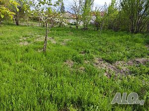 Продажба 600 кв.м В регулация (УПИ) Продажа 600 кв.м Под застройку (УПИ) | Участки под застройку, Инвестиционные проекты | Ягнило