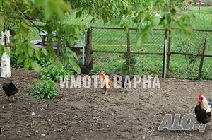 Парцел с. Солник-мястото където в планината дишаш морски въздух Продажа 559 кв.м Под застройку (УПИ) Без электричества Без воды | Участки под застройку, Инвестиционные проекты | Солник