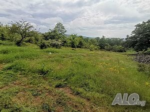 Парцел в село Паницово Продажа 4107 кв.м Под застройку (УПИ) С электричеством Собственный источник воды | Участки под застройку, Инвестиционные проекты | Паницово