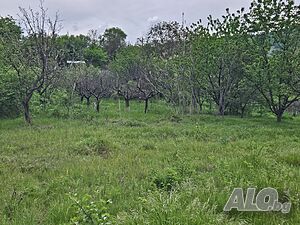 Панорамен парцел Средно Градище Продажа 1740 кв.м Под застройку (УПИ) Без электричества Без воды | Участки под застройку, Инвестиционные проекты | Средно градище