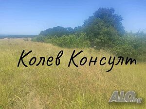 Продавам парцел, гр. Приморско Продажа 3000 кв.м Под застройку (УПИ) Без электричества Без воды | Участки под застройку, Инвестиционные проекты | Ахтопол