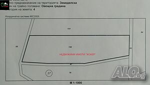 Парцел /земеделска земя/ в село Войнежа - БЕЗ КОМИСИОННА! Фруктовый сад 4000 кв.м 4 категории | Сельскохозяйственная земля, Сады, Виноградники | Войнежа